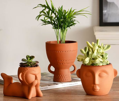 Resistencia a las manchas de las plantas de terracota en interiores