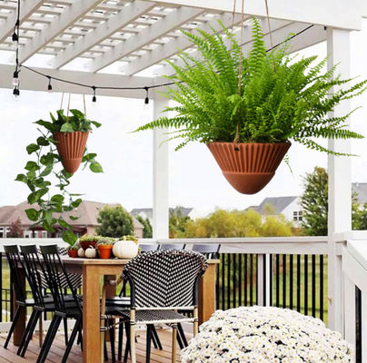 Plantas colgantes para plantas de interior, planta colgantes de terracota, macetas cerámicas de plantas colgantes, cestas colgantes, plantas colgantes