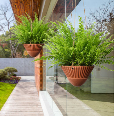 Plantas colgantes para plantas de interior, planta colgantes de terracota, macetas cerámicas de plantas colgantes, cestas colgantes, plantas colgantes